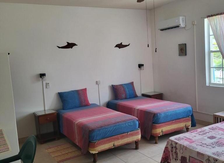 پانسیون Dolphin Inn Guesthouse & Apartments