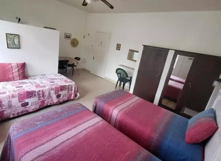 پانسیون Dolphin Inn Guesthouse & Apartments