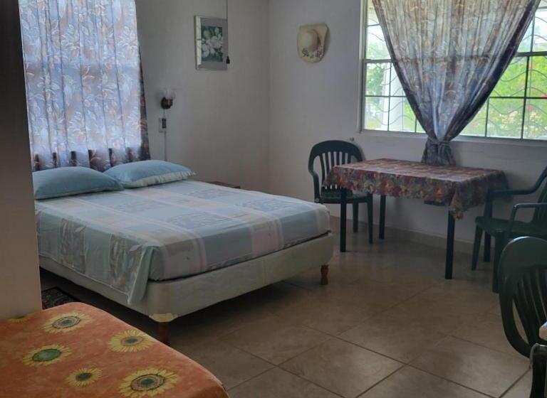 پانسیون Dolphin Inn Guesthouse & Apartments