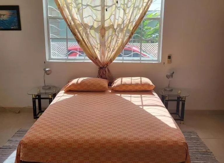 پانسیون Dolphin Inn Guesthouse & Apartments