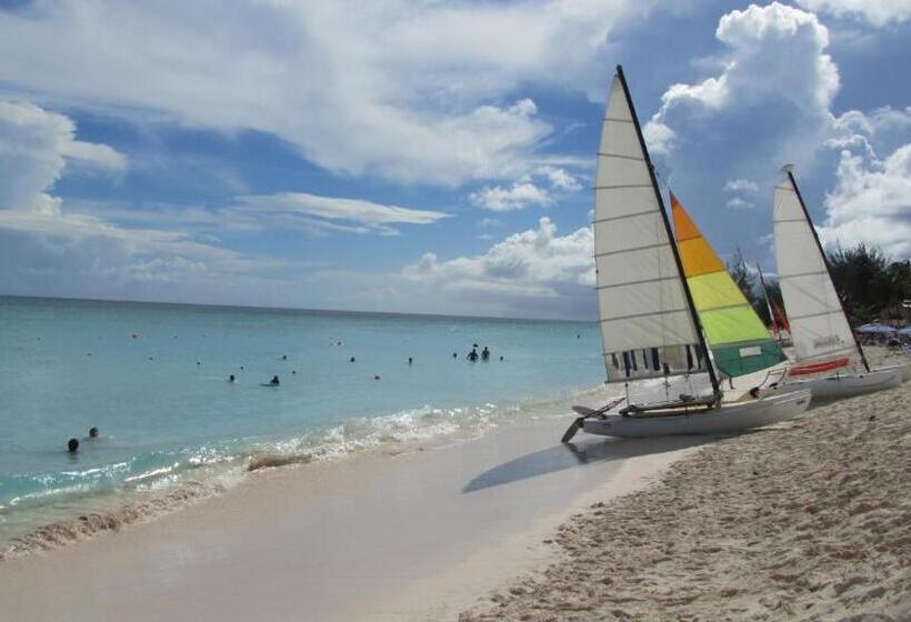 پانسیون Dolphin Inn Guesthouse & Apartments