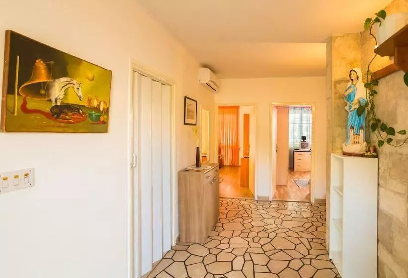 Apartments Sany