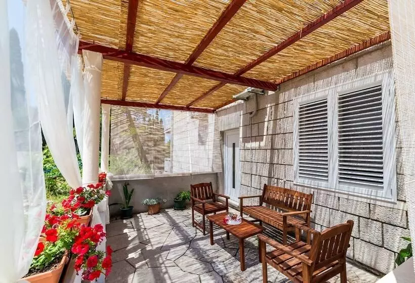 Apartments Sany