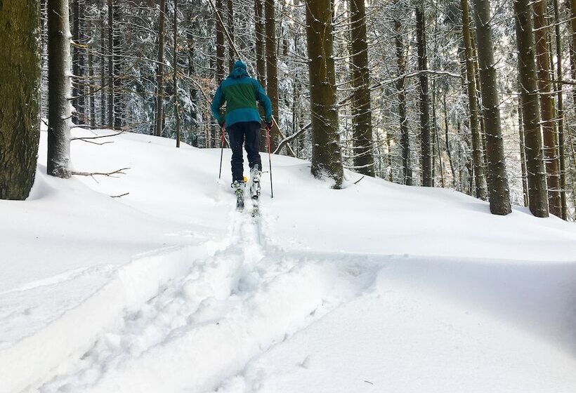 Bergheim Container Lodges