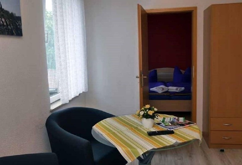 Pensionat Ferienhaus  Zur Alten Schule