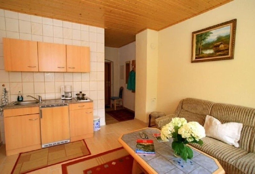 Pensionat Ferienhaus  Zur Alten Schule