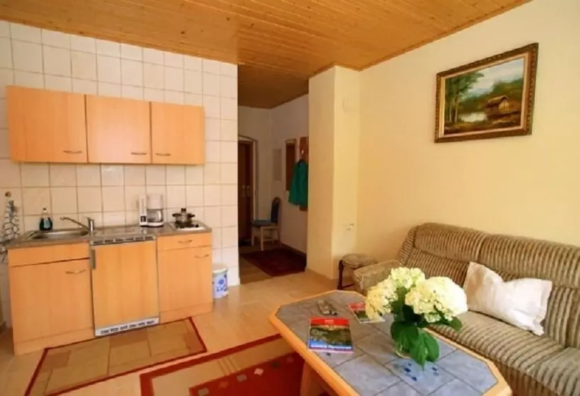 ペンション Ferienhaus  Zur Alten Schule