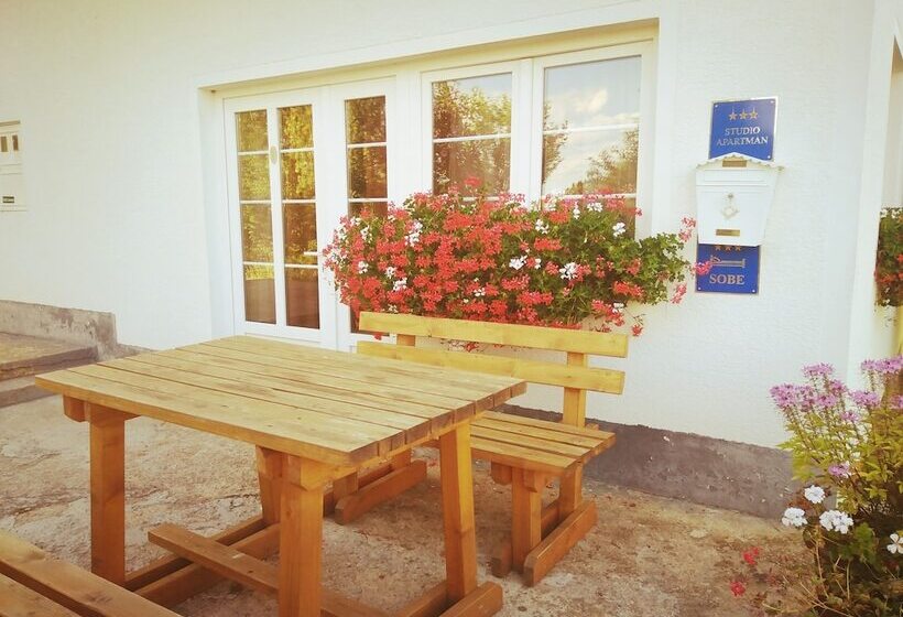 بنسيون Guest House First Stop