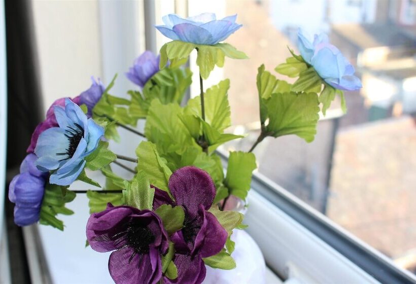 بنسيون John St Town House