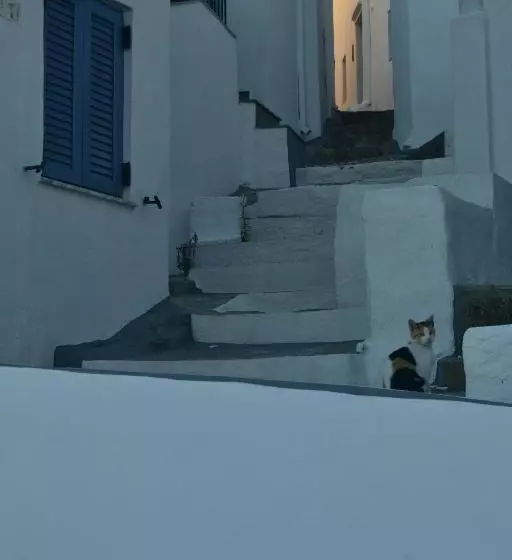 Residenssi Maestralia