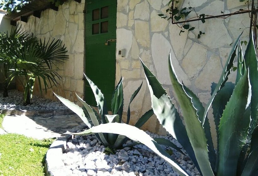 Urban Premium Apartments   Adults Only