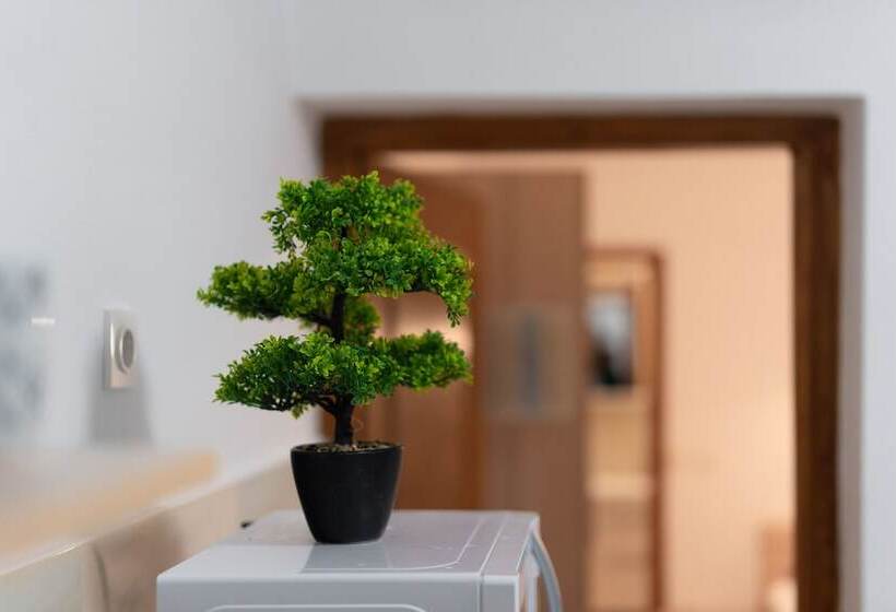 Apartments Villa Daniela