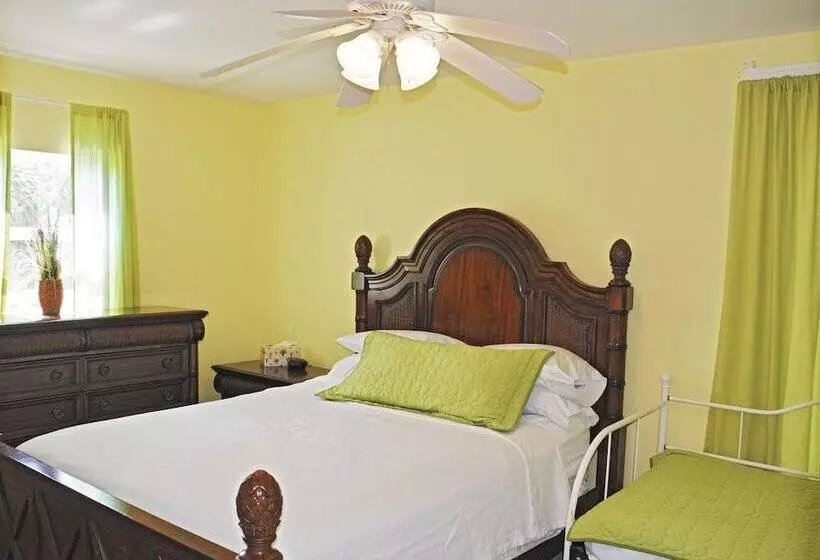 The Little Oasis Beach House