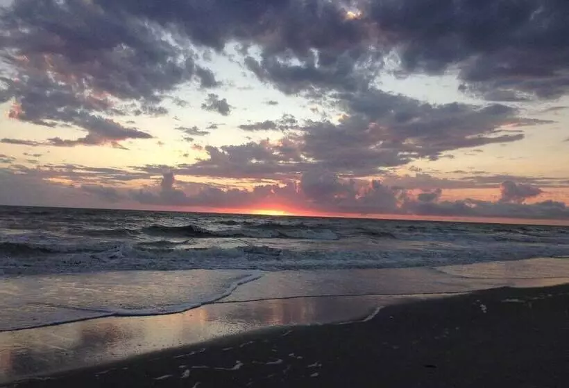 The Little Oasis Beach House