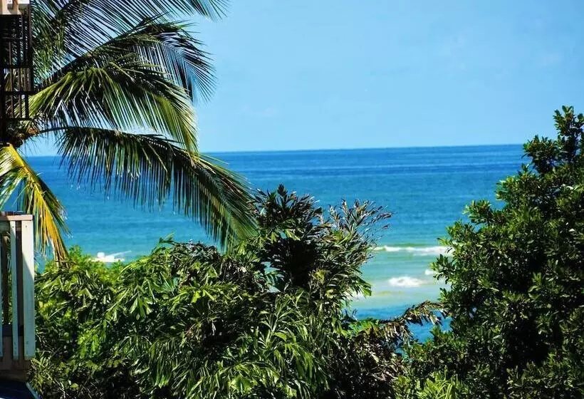 The Little Oasis Beach House