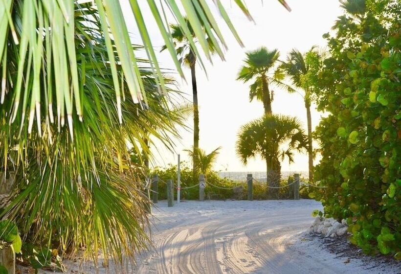 The Little Oasis Beach House