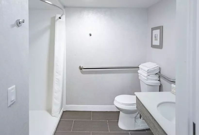 ホテル Hampton Inn Waco