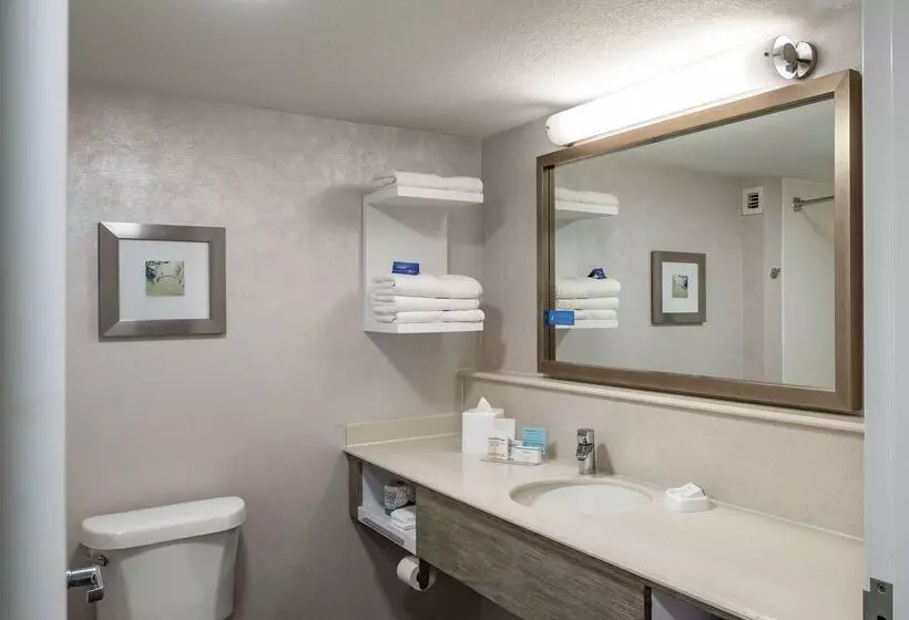 ホテル Hampton Inn Waco