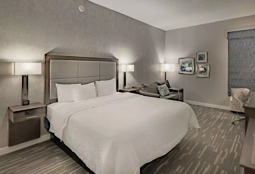 ホテル Hampton Inn Waco