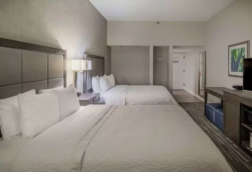 ホテル Hampton Inn Waco