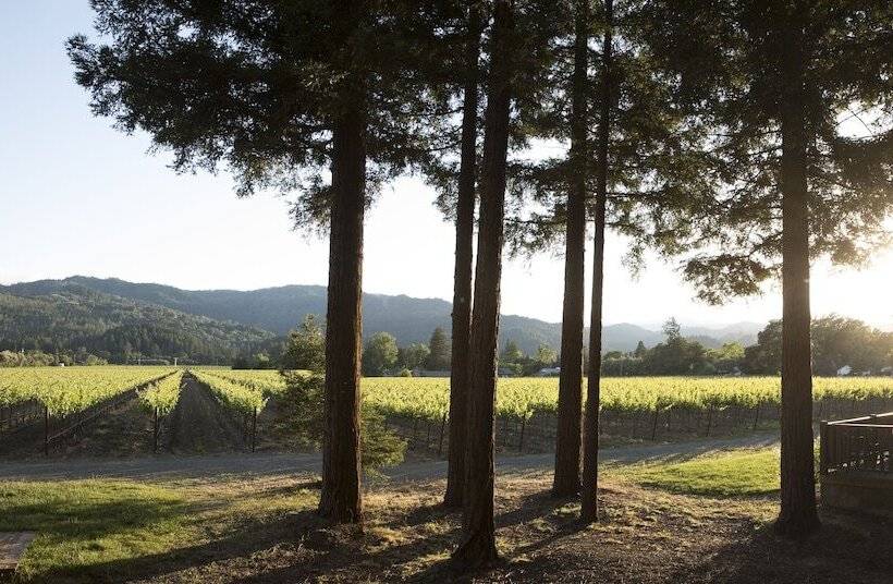 בית מלון כפרי Harvest Inn