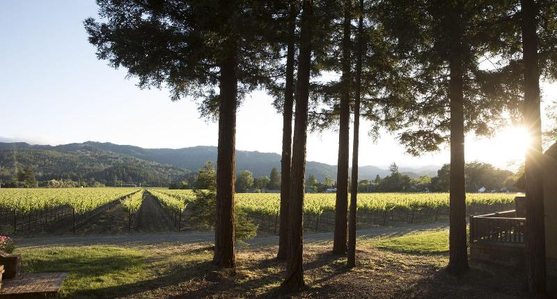 בית מלון כפרי Harvest Inn