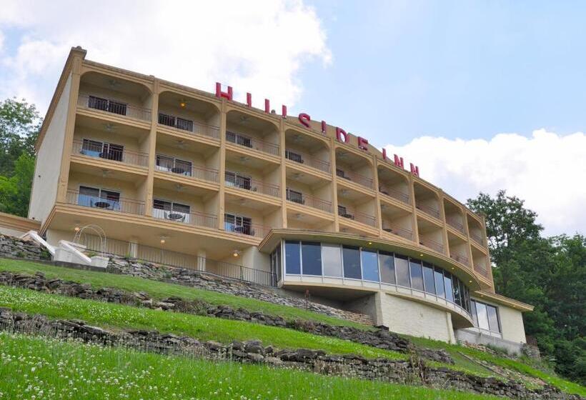 酒店 Hillside Inn
