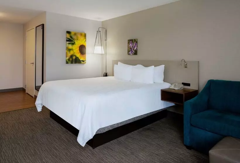 酒店 Hilton Garden Inn Folsom