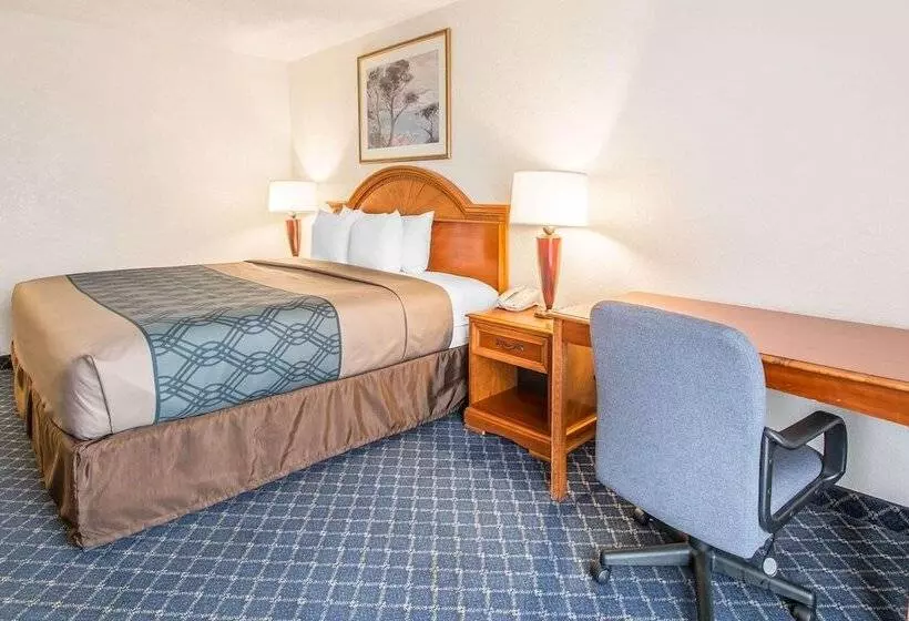 酒店 North Miami Beach Gardens Inn & Suites