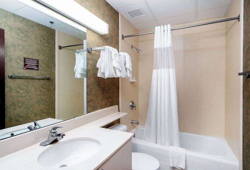 The Suites Hotel At Waterfront Plaza