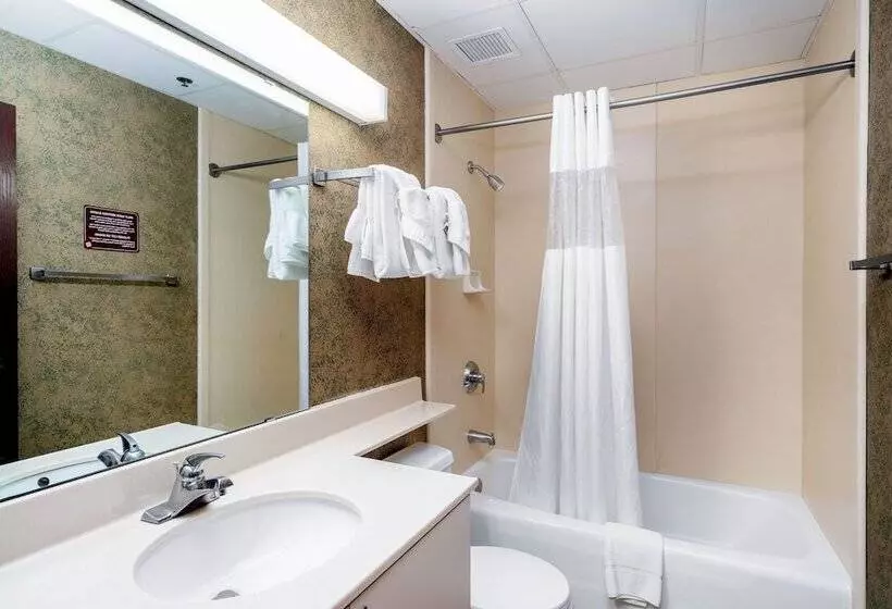 The Suites Hotel At Waterfront Plaza