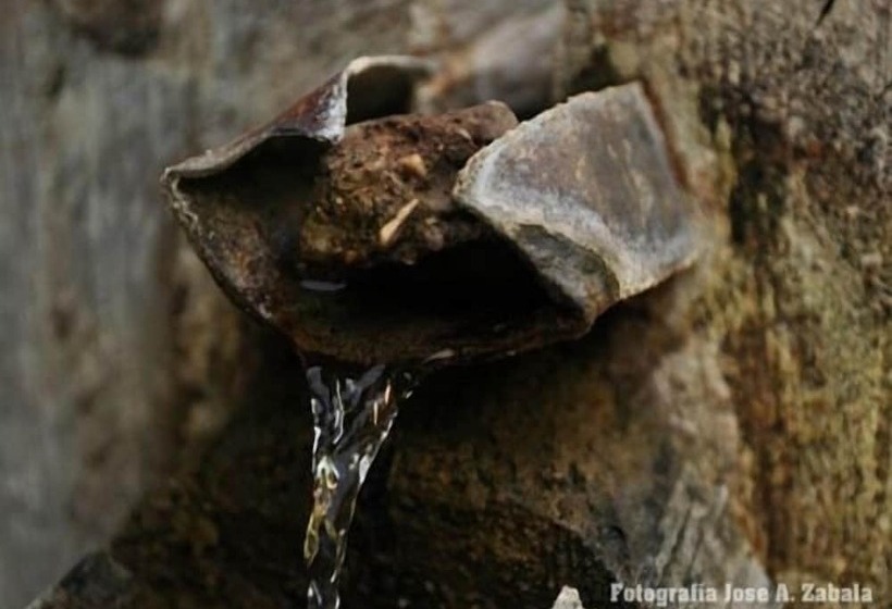 Casa Rural Los Parrales