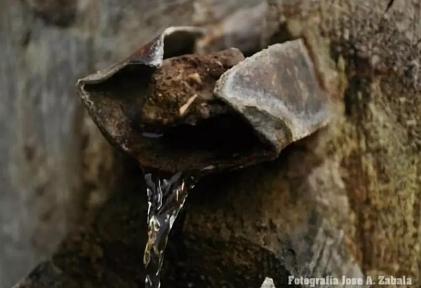 Casa Rural Los Parrales