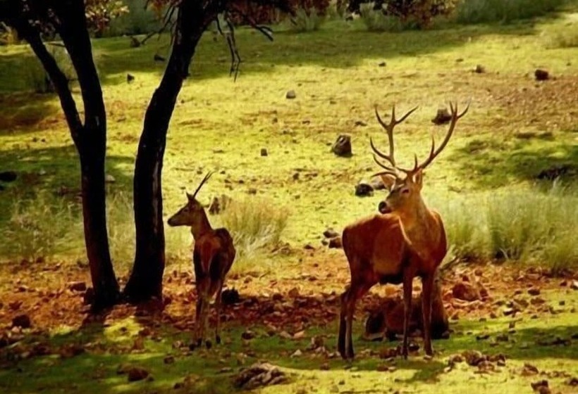 Casa Rural Los Parrales