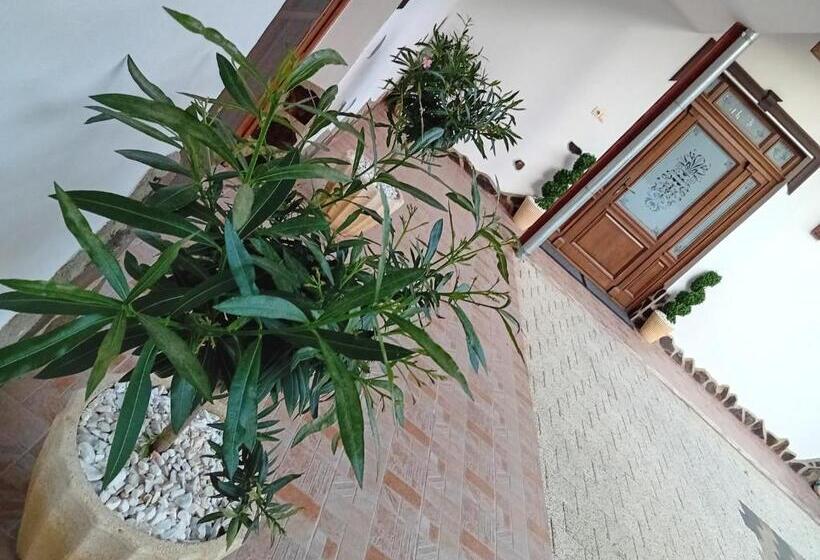 Pensiunea Hanzu Darius