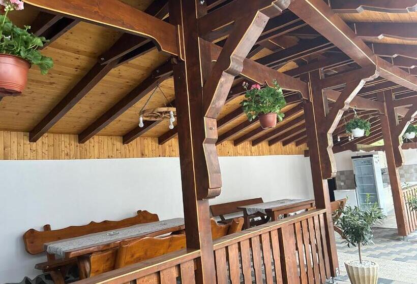 Pensiunea Hanzu Darius