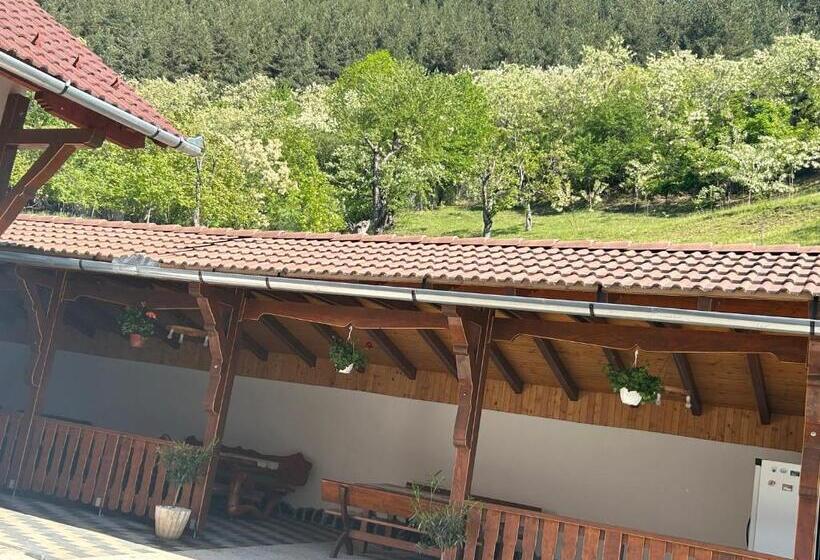 Pensiunea Hanzu Darius