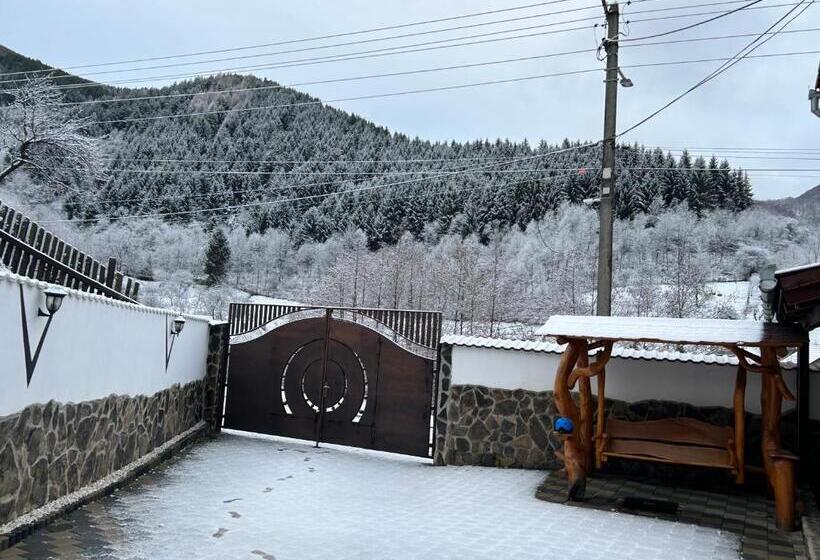 Pensiunea Hanzu Darius