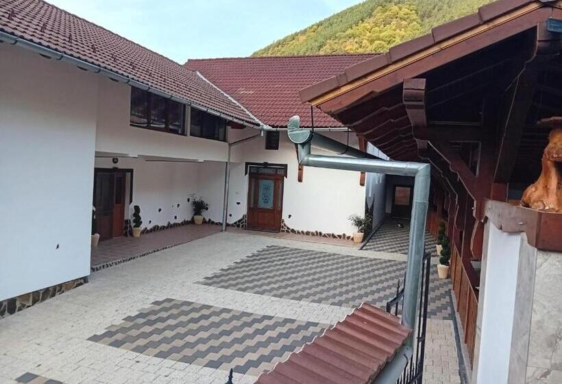 Pensiunea Hanzu Darius