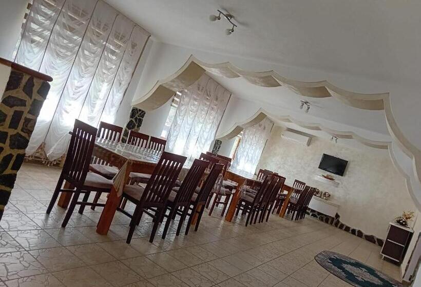 Pensiunea Hanzu Darius