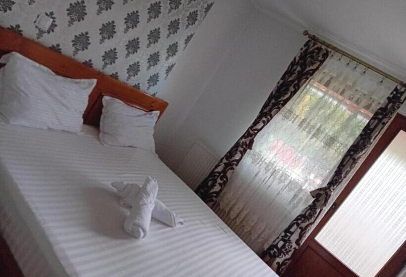 Pensiunea Hanzu Darius