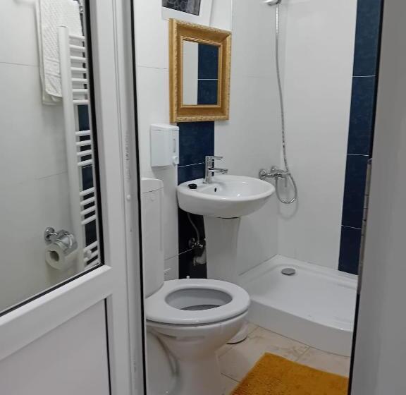 Pensiunea Hanzu Darius