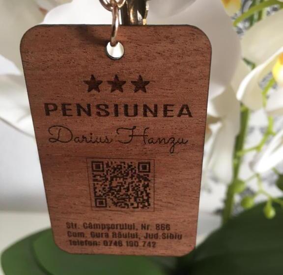 Pensiunea Hanzu Darius