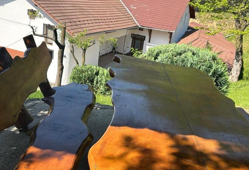 Pensiunea Hanzu Darius