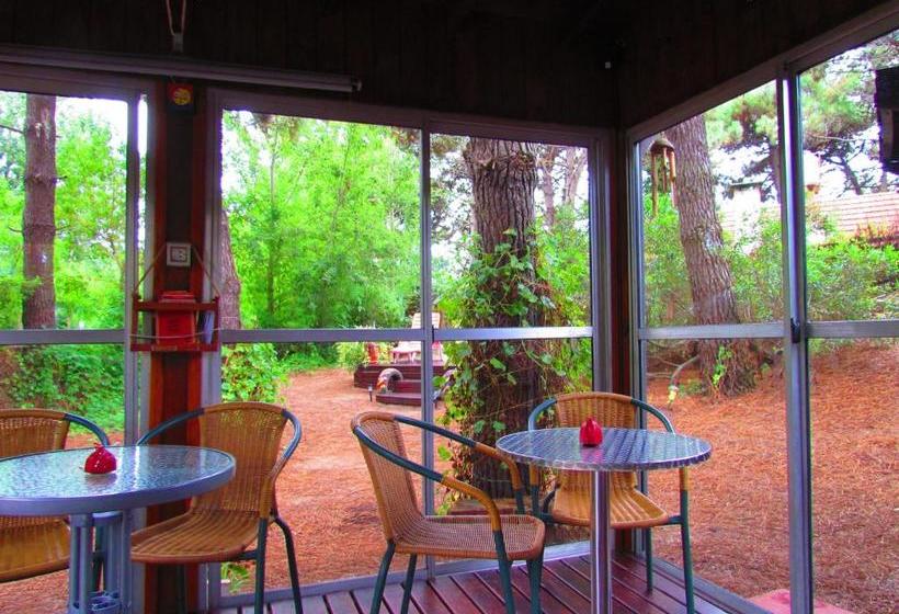 B&b Mi Casa Es Tu Casa