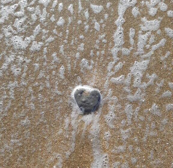 Le Vieux Pré De La Motte