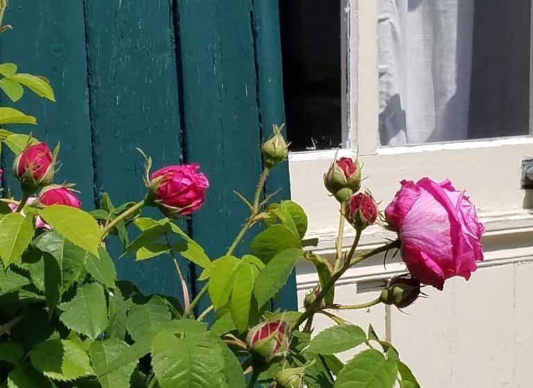 Le Vieux Pré De La Motte