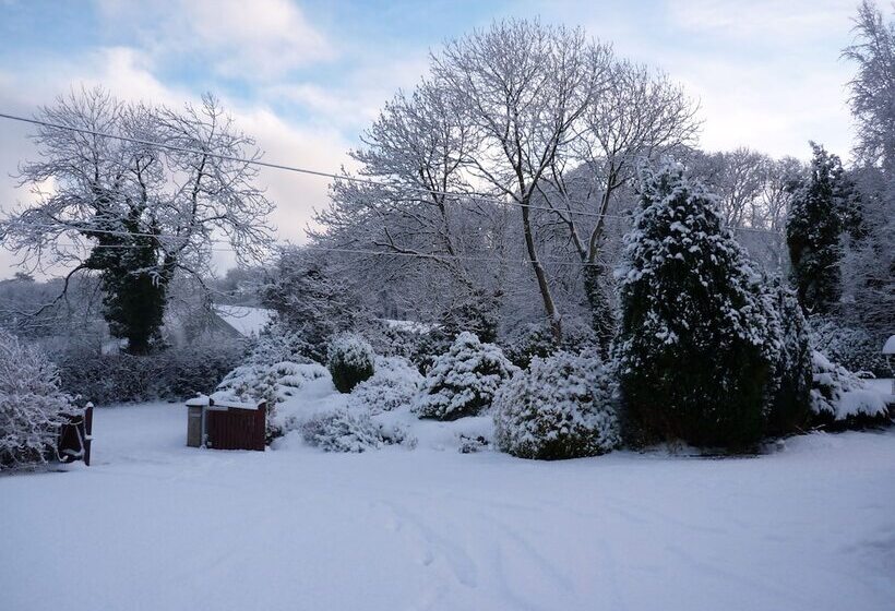 Lon Y Traeth Bed & Breakfast