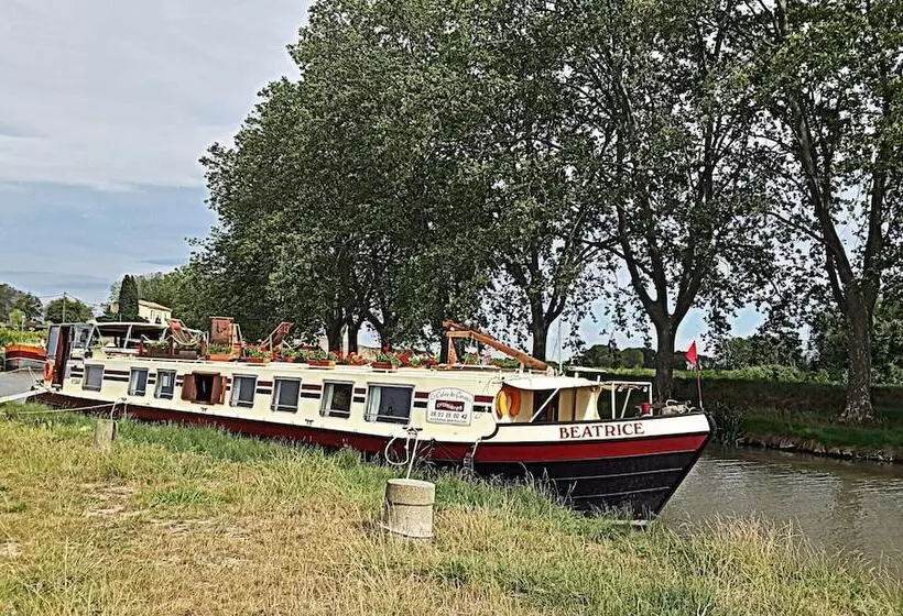 ホテル Barge Beatrice Cruises On The Canal Du Midi