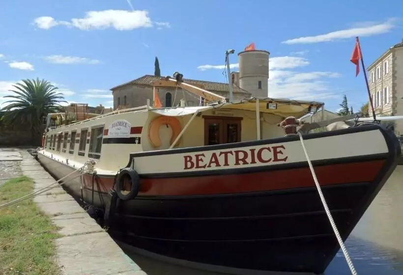 ホテル Barge Beatrice Cruises On The Canal Du Midi